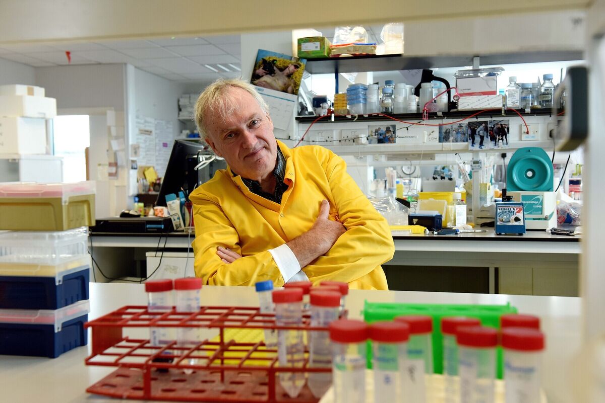  Prof. Luke O'Neill in his office in Trinity College Dublin. Photograph: Moya Nolan