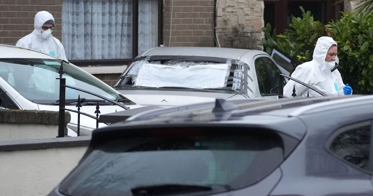 Gardaí have launched a senior-led investigation after the bodies of a man and a young child were found at separate Dublin homes