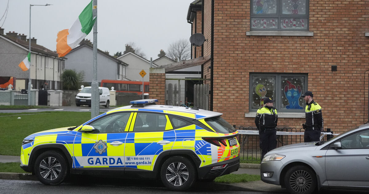 Gardaí have launched a senior-led investigation after the bodies of a man and a young child were found at separate Dublin homes