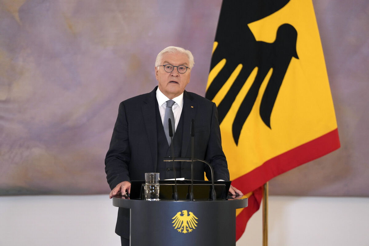 German President Frank-Walter Steinmeier said the erosion of the world order had already reached an advanced stage. File picture: S'ren Stache/AP