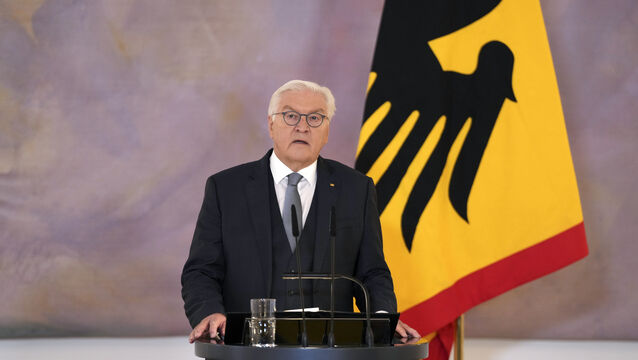 <p>German President Frank-Walter Steinmeier said the erosion of the world order had already reached an advanced stage. File picture: S'ren Stache/AP</p>