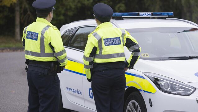 <p>The incident is said to have happened after gardaí parked their patrol car in front of a house. File picture: Dan Linehan</p>