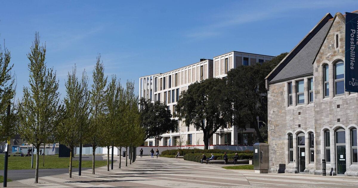 Students at technological university remain unregistered due to technical issues with new record system