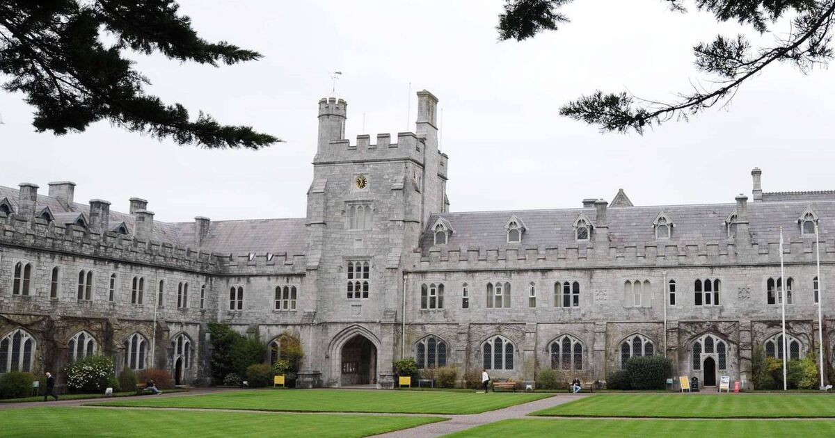 An extraordinary exam saga has reignited debate about overseas student recruitment, English proficiency standards, and the pressures facing Irish universities