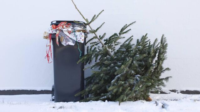 <p>The wheelie bins are full of wrapping paper and empty bottles; the decorations are ready to be returned to their cardboard boxes for another 11 months. However, good books are for life, not just for Christmas. Picture: iStock</p>