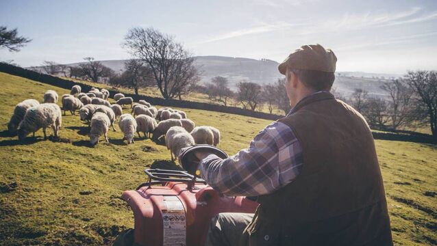 <p>Agriculture represented 40% of all work-related fatalities in 2025 from a sector employing some 4% of the workforce.</p>