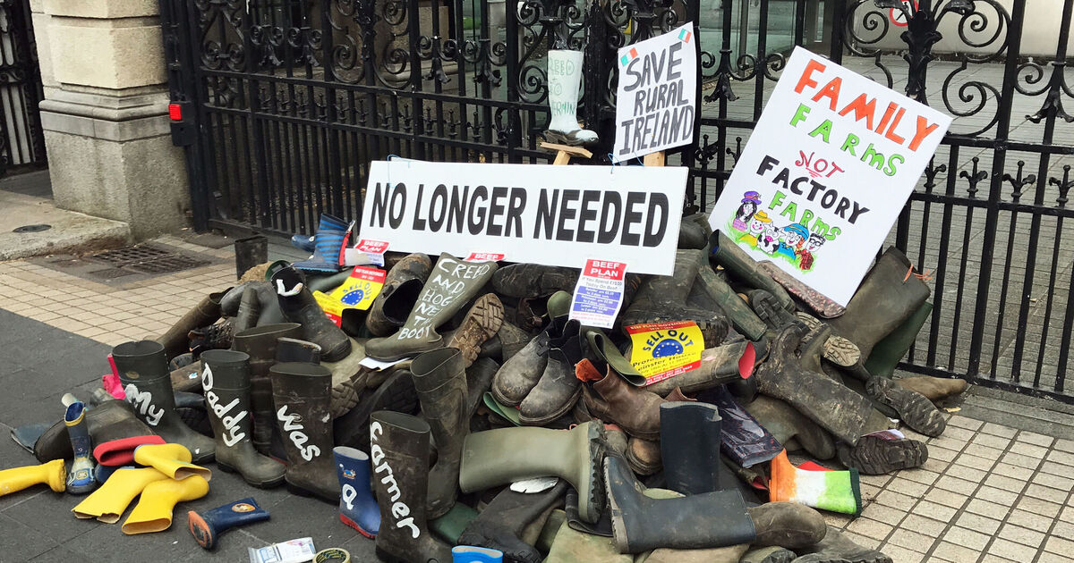 Ireland and France opposed the Mercosur agreement, warning it threatens farmers, food standards and the environment despite EU approval