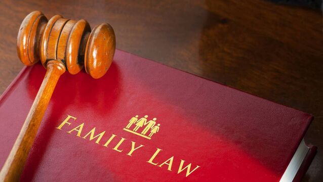 <p>A new Family Law Reporting Project is due to get underway in family courts across the country and is being modelled on the Child Law Project started in 2012 by former journalist Dr Carol Coulter. File photo</p>