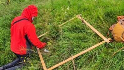Vegetation survey being carried out as part of the team's research into the effects of Himalayan balsam on riverbanks.
