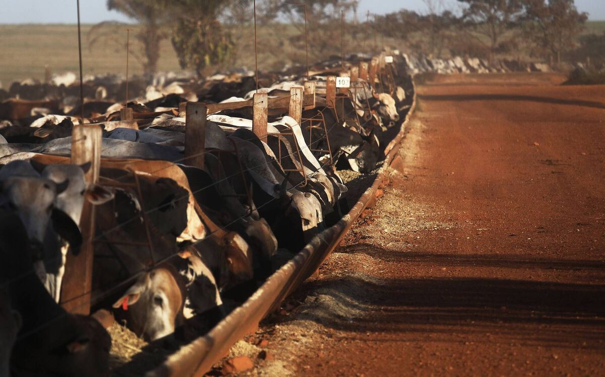 Taoiseach Micheál Martin said Ireland's opposition relates to the higher standards placed on Irish and European farmers compared to operations in South America. Taoiseach Micheál Martin said Ireland's opposition relates to the higher standards placed on Irish and European farmers compared to operations in South America.