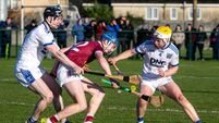 Harty Cup: Kevin Moran delighted with De La Salle response to fend off CBC