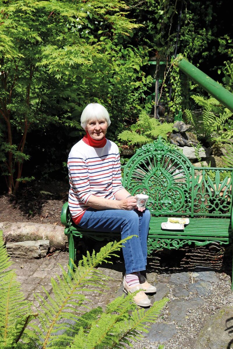 Alice Taylor: "This old tree, that had grown old gracefully, had now departed in a similar fashion, inflicting as little surrounding damage as possible. In death as in life, she was gracious." Alice Taylor: "This old tree, that had grown old gracefully, had now departed in a similar fashion, inflicting as little surrounding damage as possible. In death as in life, she was gracious."