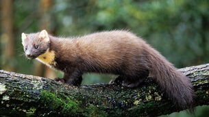 In memoriam: Remembering some of the greats we lost in 2025