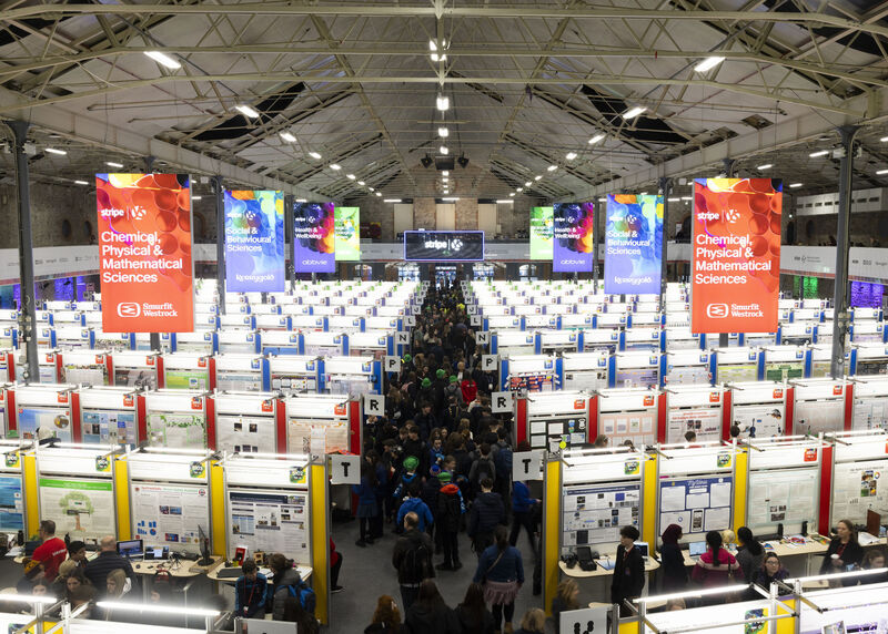Aoibheann Daly's project triumphed over 550 projects that made the final round of the 2026 Young Scientist, out of more than 2,000 entries overall this year. Picture: Sam Boal/Collins