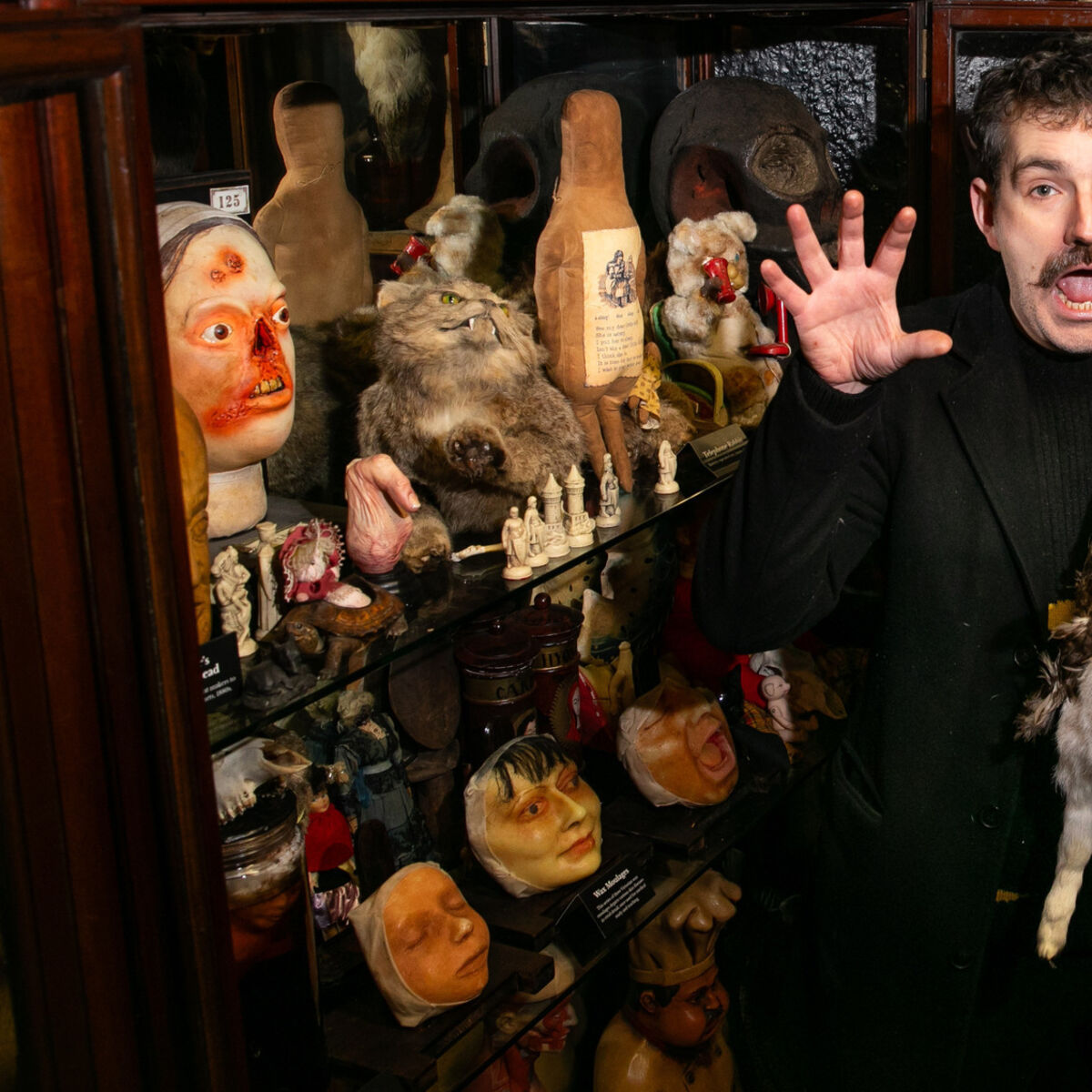 irishexaminer.com - Sarah Horgan - Inside Dublin's Museum of Curiosities as conjoined lambs and historic royal cake go on display