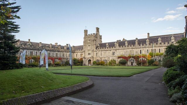 <p>Ten years ago, as the school was embarking on expansion, a circular in UCC described the school as 'the awakening giant of business education'. Picture Dan Linehan</p>