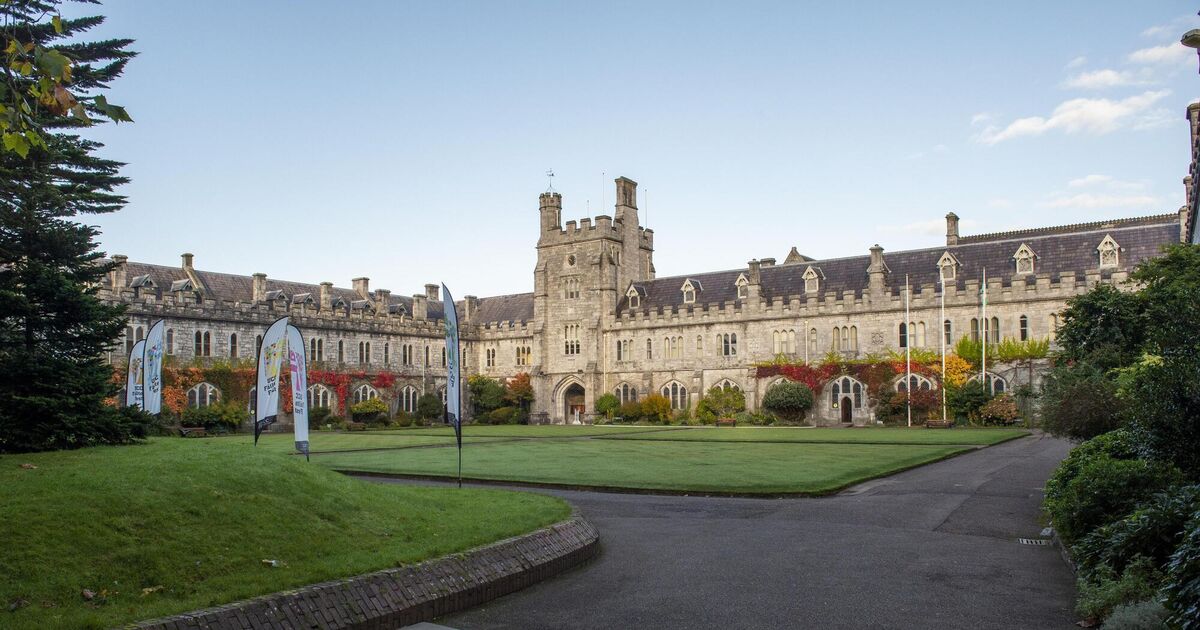 An extraordinary exam saga has reignited debate about overseas student recruitment, English proficiency standards, and the pressures facing Irish universities