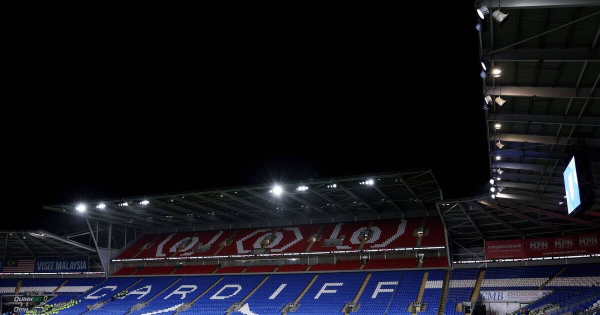 Cardiff City placed under transfer embargo due to accounts