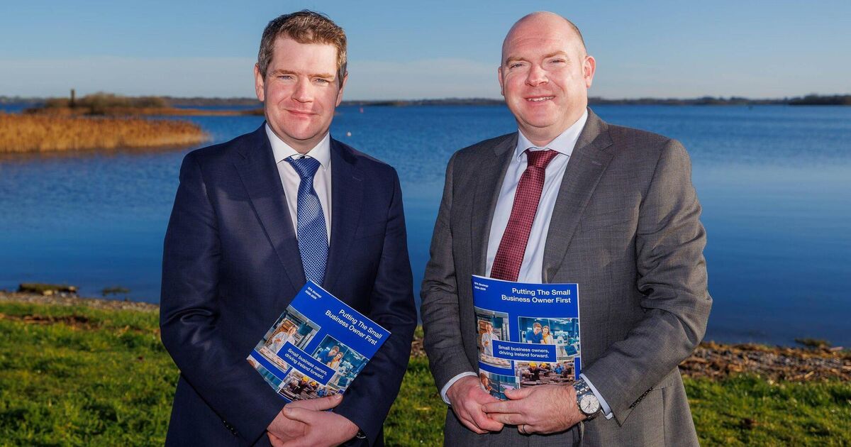 SFA makes pitch for new semi-state bank dedicated to small businesses