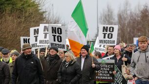 <p>Irish farmers take part in a protest against the EU-Mercosur trade deal, in the town of Athlone on January 10, 2026. Several thousand Irish farmers protested on January 10 against the European Union's trade deal with the South American bloc Mercosur, a day after EU states approved the treaty despite opposition from Ireland and France. (Photo by Gareth CHANEY / AFP via Getty Images)</p>