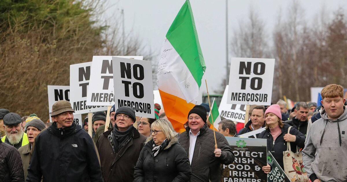 Watch: Irish farmers protest EU-Mercosur trade deal in Athlone