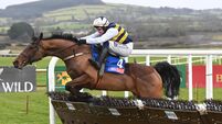Mullins magic at Punchestown as Sober and Kappa Jy Pyke seal graded double
