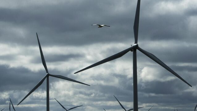 <p>If offshore wind is to be a pillar of Government strategy, we need to see the roadmap of scenarios, decision points, trade-offs and choices informed by the best research evidence and followed by a plan of action to deliver it. File picture</p>