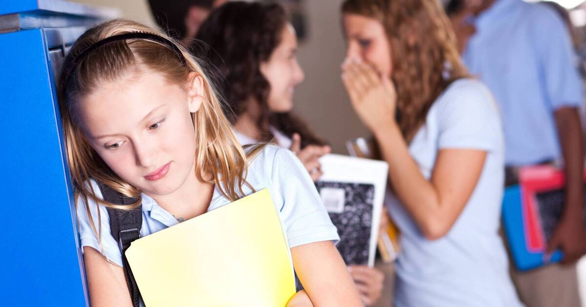 When children struggle with isolation at school