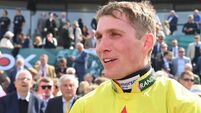 Swan backs Cobden for 'one of the best jobs' in jumps racing 