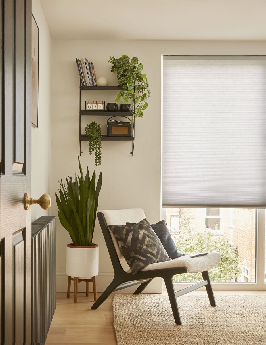  Plain cream window treatments give continuity to neutral décor, with plant life and textiles to add winter cosiness. Picture: Hillarys Blinds