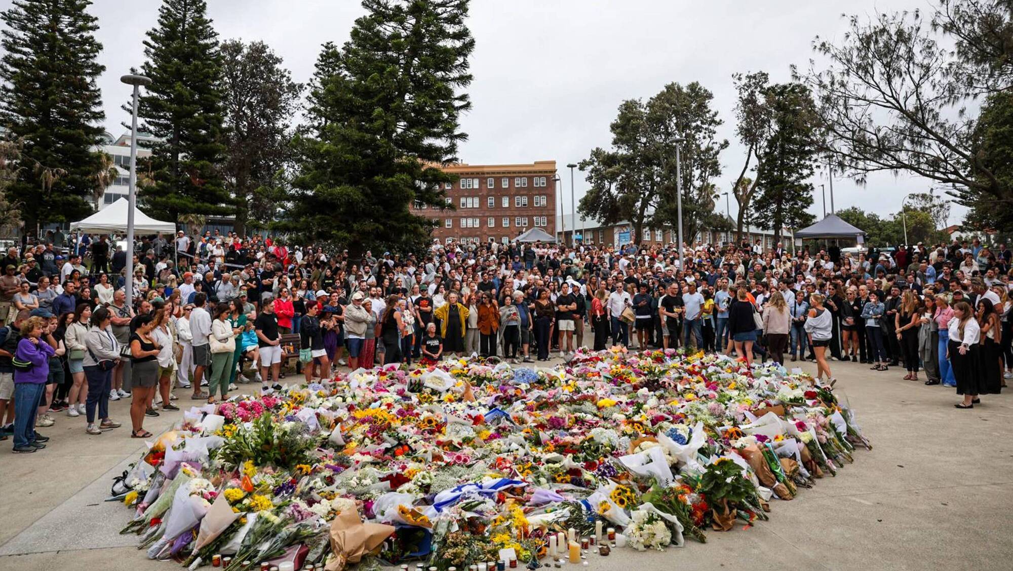 A month after Bondi attacks, Jewish diaspora remains in shock