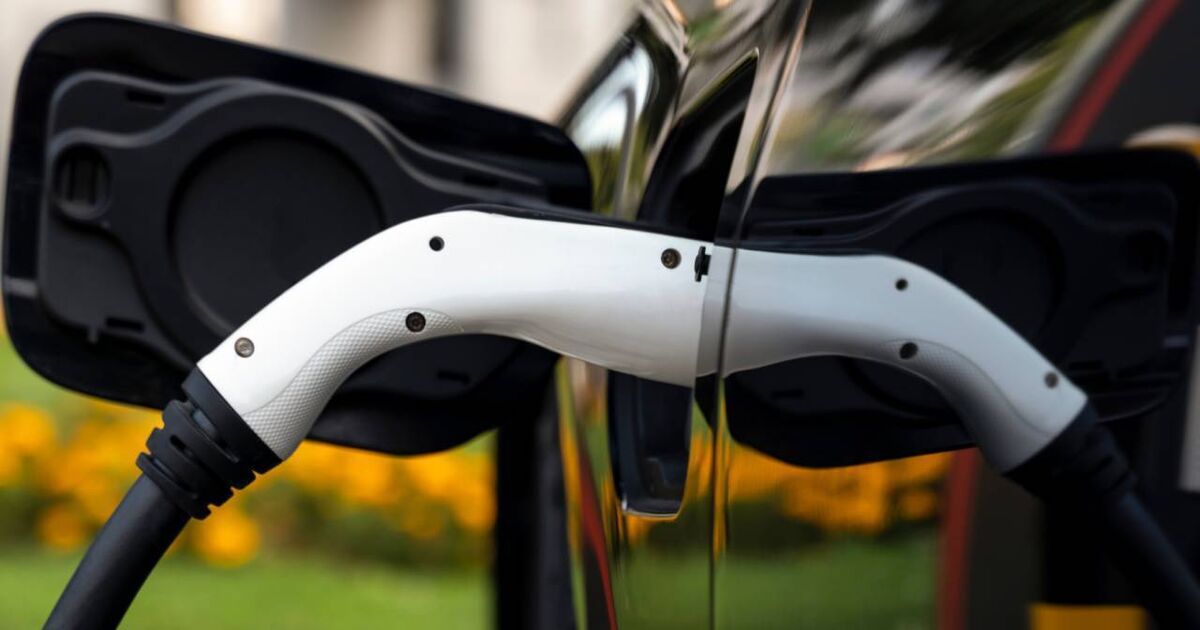 New electric car registrations show significant recovery in 2025