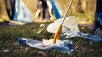 Group of volunteers cleaning the forest from litter and plastic waste