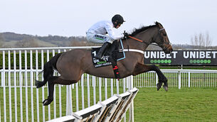 <p>FLAT BOW: Constitution Hill could have his prep run for the Champion Hurdle in a new £40,000 (€46,000) mile-and-a-half novice contest on the Flat at Southwell on February 20. Picture: Healy Racing</p>