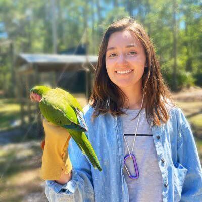 Claire O'Connell, PhD student in the Hobson Lab at the University of Cincinnati studying the relationship between affiliation and social structure in monk parakeets. Picture: @clairakeet