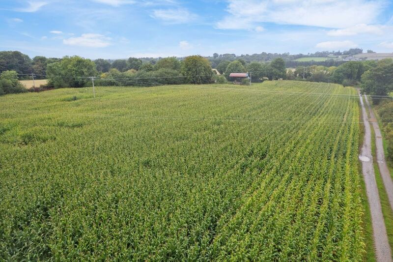 Some of the maize fields on teh 69-acre farm at Inchidaly, Banteer, Co. Cork.