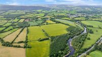 57-acre Wicklow farm offers tempting value at €589k