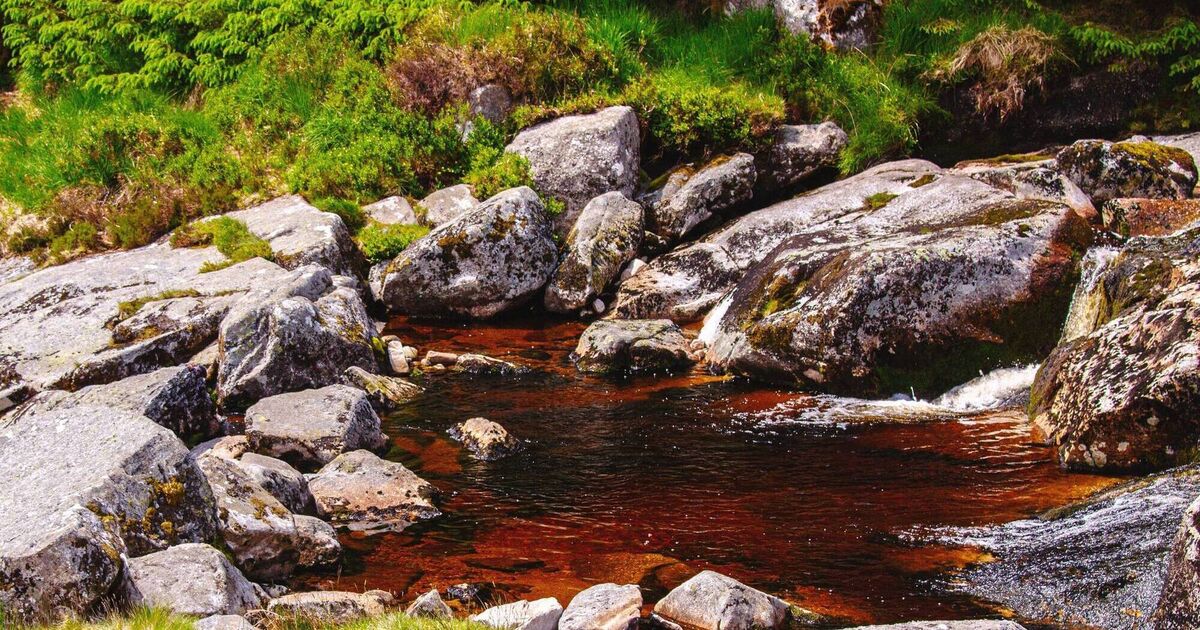 The invisible carbon in Ireland’s waters