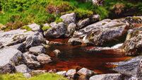Mountain stream flows through granite boulders in Glenmacnass valley, County Wicklow, Ireland