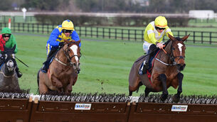 <p>POINT TO PROVE: Touched off by Oldschool Outlaw, right, at Naas before Christmas, Bambino Fever can get off the mark over hurdles at Fairyhouse on Wednesday.  	Picture: Healy Racing </p>