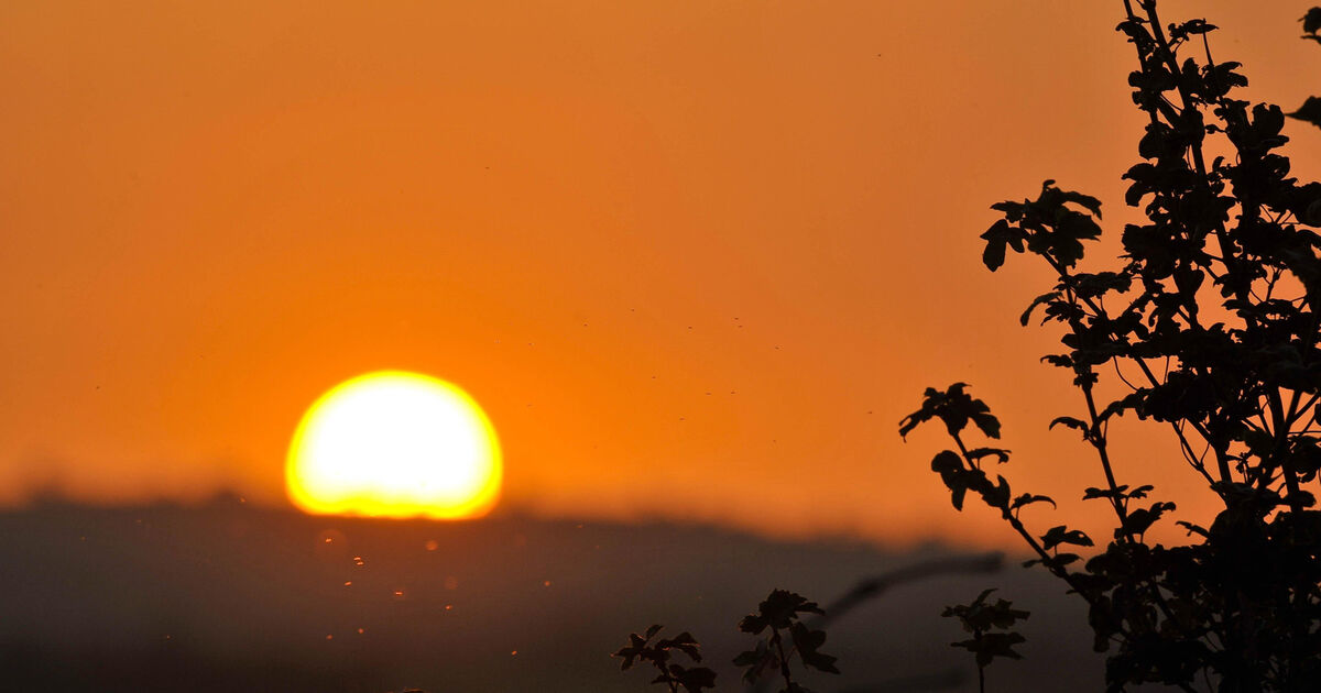 Scientists confirm 2025 as third-hottest year on record