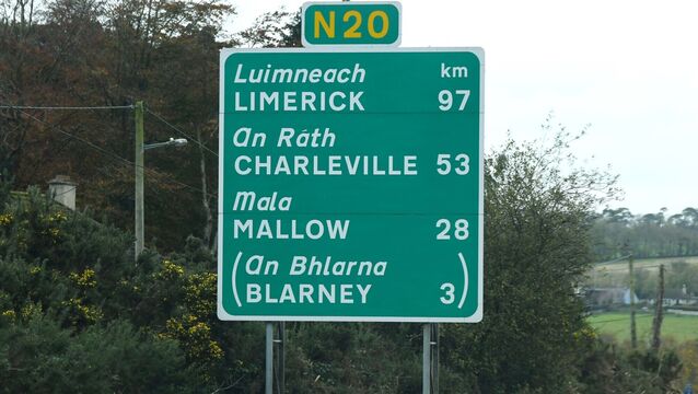 <p>Councillors traffic volumes on the N20 had increased since covid and accidents at junctions were an almost daily occurrence. Picture: Denis Minihane</p>