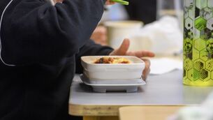 <p>The scheme, which makes half a million children eligible for hot school meals, has a budget of €300m. Picture: Dan Linehan</p> <p>The scheme, which makes half a million children eligible for hot school meals, has a budget of €300m. Picture: Dan Linehan</p>