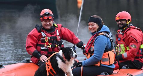 Meet Ireland’s new search and rescue dogs trained to find missing people on land and water