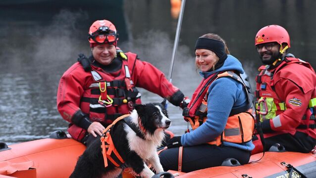 <p> Members of the Killarney Water Rescue Search and Recovery Team with members of ISSARD at Loch Léin, Killarney National Park: Kieran Caulfield, Ajay Tom George, and Éadaoin O'Gorman with Murphy. Picture: Dan Linehan</p>