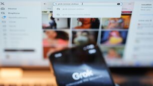 <p>Foreign affairs minister Helen McEntee is the first senior Cabinet member to call for the banning of X’s AI chatbot.</p>