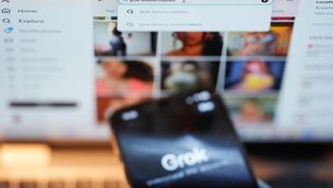 <p>Foreign affairs minister Helen McEntee is the first senior Cabinet member to call for the banning of X’s AI chatbot.</p>