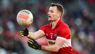 <p>Dingle's Tom O'Sullivan. Pic: Nick Elliott/Inpho</p>