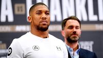 Anthony Joshua v Jermaine Franklin - Press Conference - Hilton London Syon Park