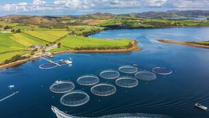 <p>That an ever-increasing number of habitats have been designated as “inadequate” or downright “bad” is a sad indictment of a country which brags openly about the pristine beauty of its land.</p>